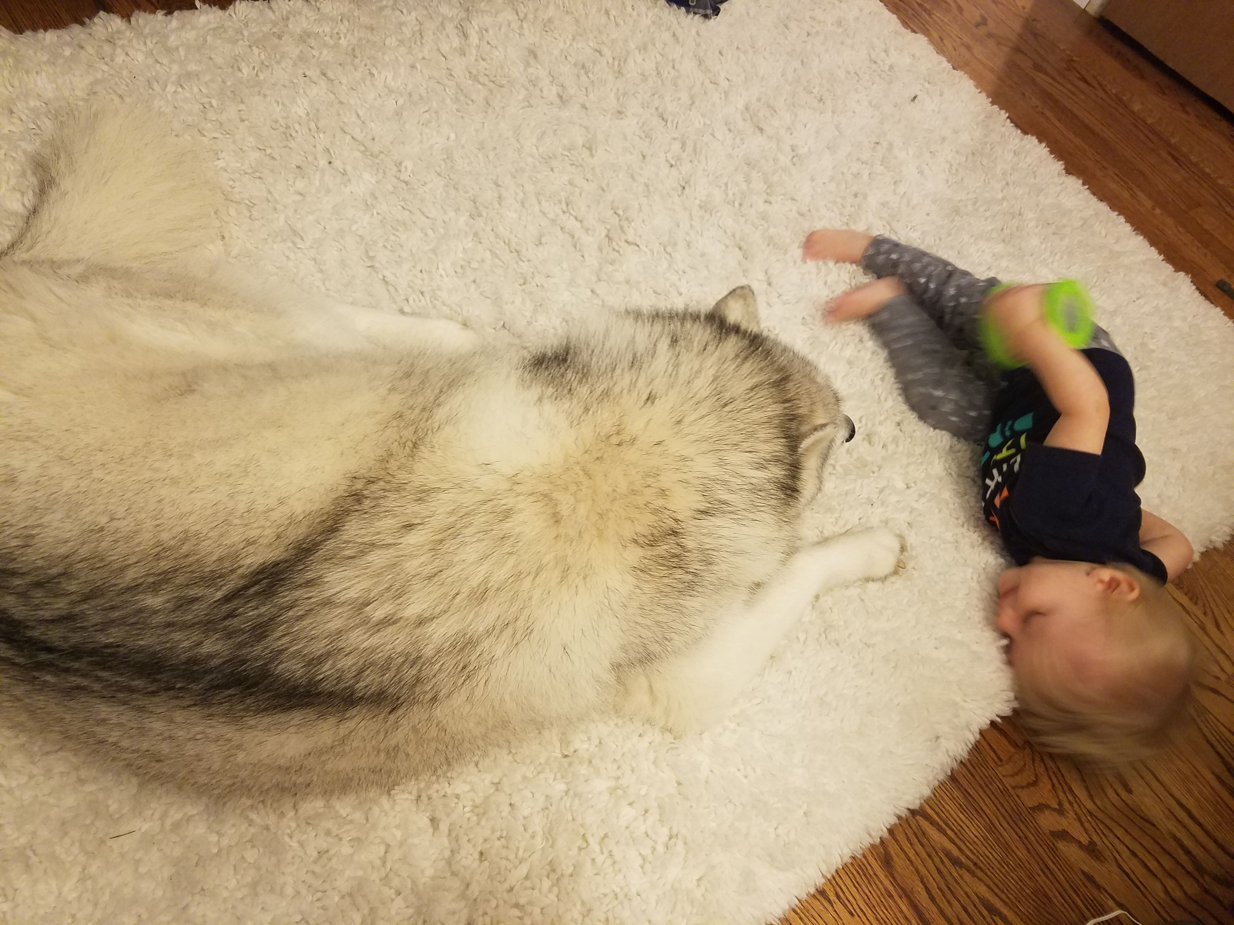 Childs Best Friend